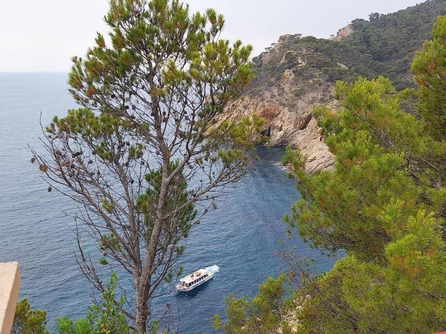 Apartamento Cala Salions Balandro II Tossa De Mar Canyet de Mar Exterior foto