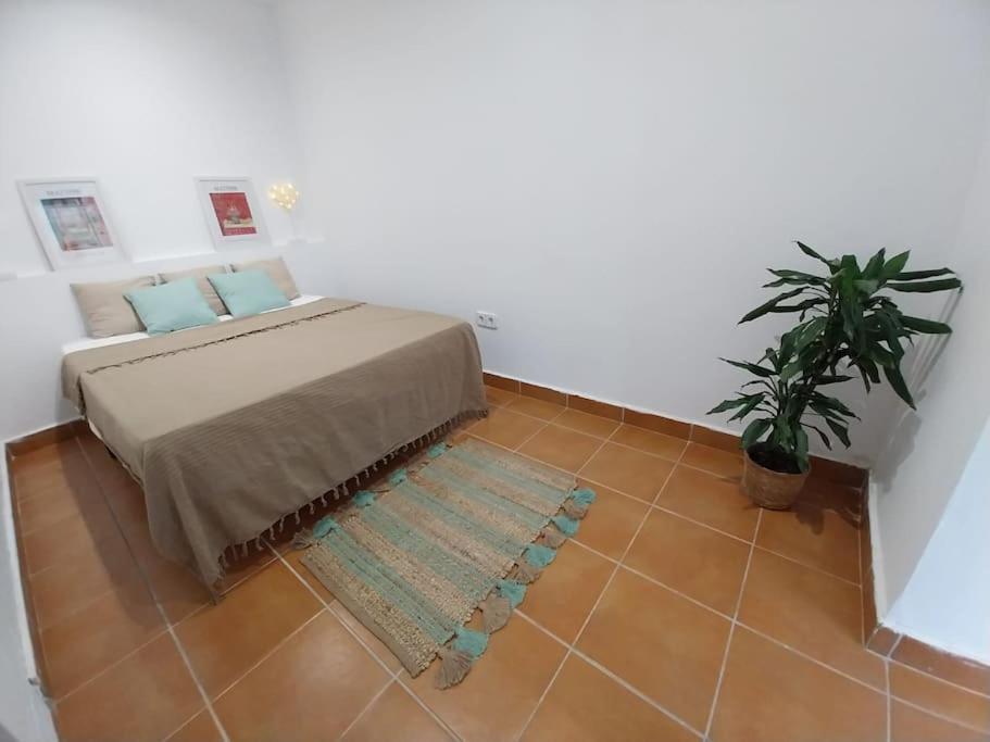 Apartamento Cala Salions Balandro II Tossa De Mar Canyet de Mar Exterior foto